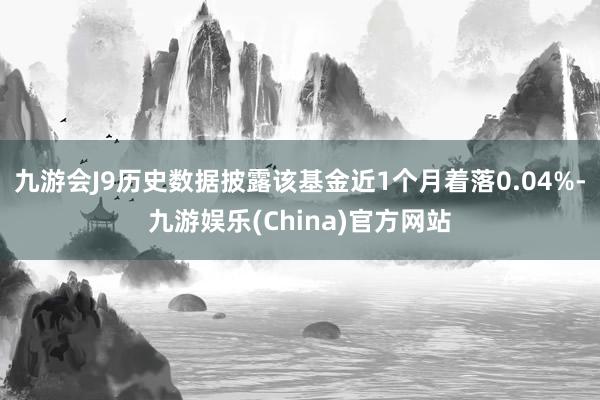 九游会J9历史数据披露该基金近1个月着落0.04%-九游娱乐(China)官方网站